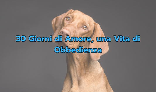 Cane Felice Padrone Sereno: Tecniche Efficaci per una Relazione Serena e Felice